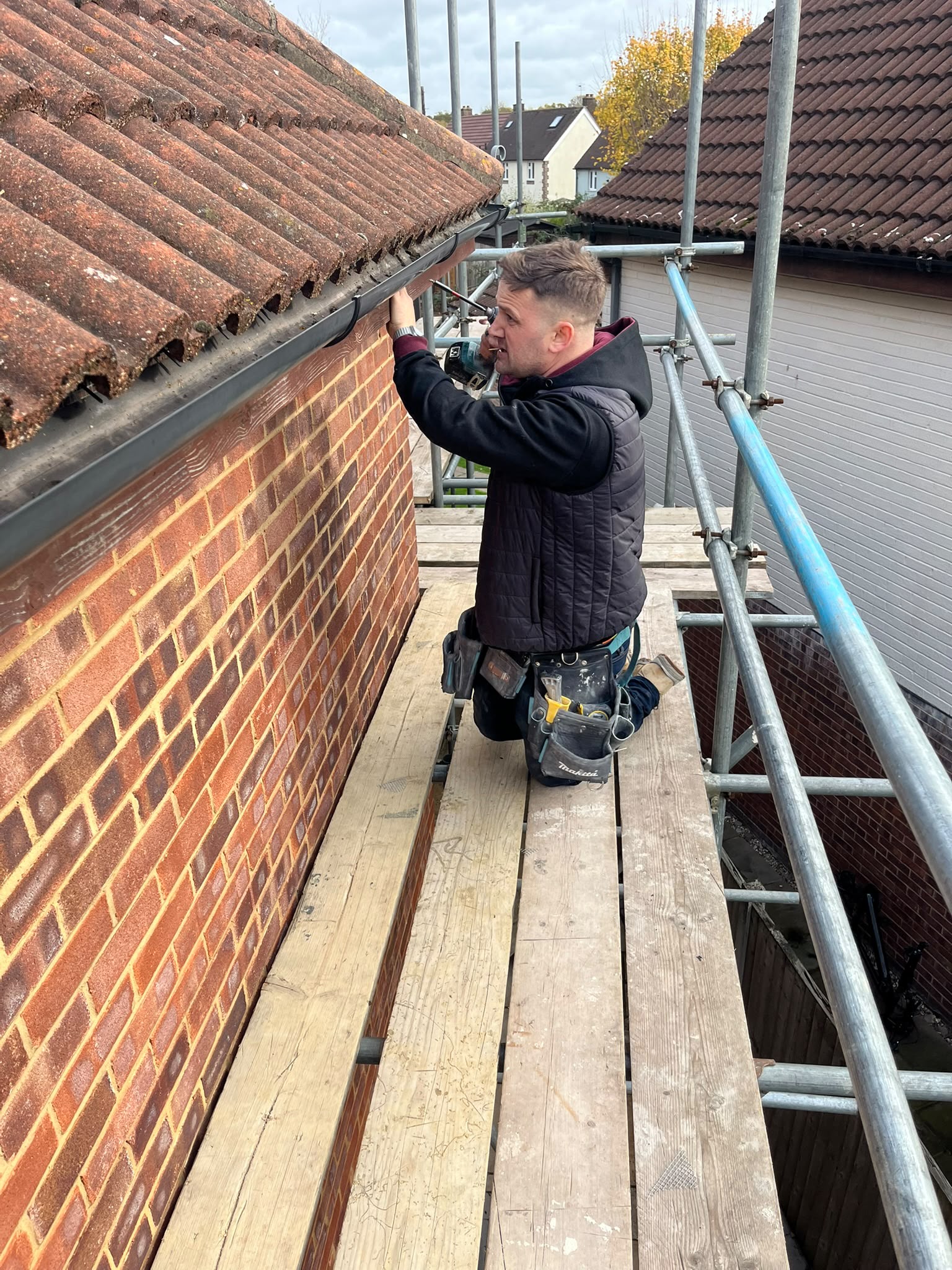 Tailored pest control plan for Essex customers